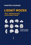 Lidský mozek - Elektronická kniha