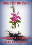 Ukradená orchidej - Elektronická kniha