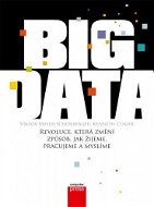Big Data - Elektronická kniha