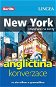 New York + česko-anglická konverzace za výhodnou cenu - Elektronická kniha