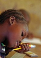 Vzdělávací systém v Africe - Elektronická kniha