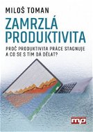 Zamrzlá produktivita - Elektronická kniha