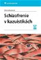 Schizofrenie v kazuistikách - Elektronická kniha