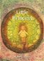 The Little Princess - Elektronická kniha