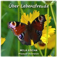 Über Lebensfreude - E-kniha