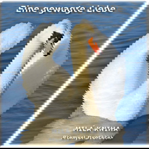 Eine gewagte Liebe - Elektronická kniha - Main image