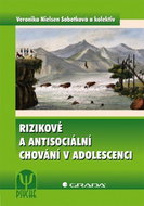 Risk and antisocial behaviour in adolescence - Ebook