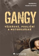 Gangy - Elektronická kniha
