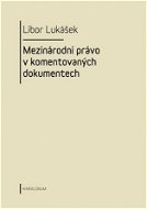 Visegrádská skupina a její vývoj v letech 1991-2004 - Elektronická kniha
