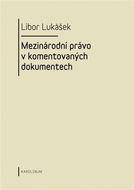 Visegrádská skupina a její vývoj v letech 1991-2004 - Elektronická kniha