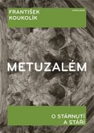 Metuzalém - Elektronická kniha