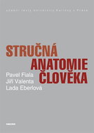 Brief human anatomy - Ebook