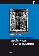 Komunitní a skupinová psychoterapie v české perspektivě - E-kniha