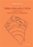 Terra sigillata z Čech v kontextu evropského barbarika - Elektronická kniha