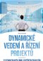 Dynamické vedení a řízení projektů - Elektronická kniha