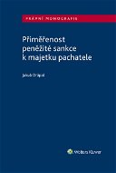 Přiměřenost peněžité sankce k majetku pachatele - Elektronická kniha