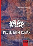 Protistátní román - Elektronická kniha