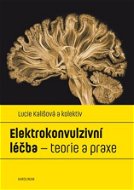 Elektrokonvulzivní léčba - Elektronická kniha