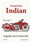 Nesmrtelný Indian - Elektronická kniha