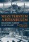 Mezi Terstem a Istanbulem - Elektronická kniha