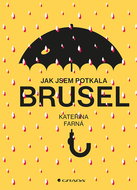 How I met Brussels - Ebook