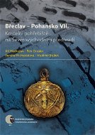 Břeclav – Pohansko VII. - Elektronická kniha