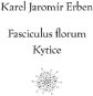 Fasciculus florum / Kytice - Elektronická kniha