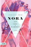 Nora or Oslo in flames - Ebook