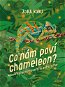 Co nám poví chameleon - Elektronická kniha