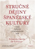 Stručné dějiny španělské kultury - Elektronická kniha
