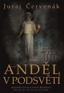 Anděl v podsvětí - Elektronická kniha