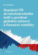 Involvement of the Czech Republic in international efforts to strengthen global monetary and financi - Ebook