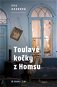 Toulavé kočky z Homsu - Elektronická kniha