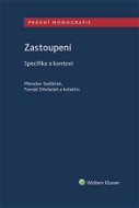 Zastoupení - Specifika a kontext - Elektronická kniha