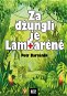 Za džunglí je Lambaréné - Elektronická kniha