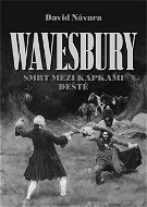 Wavesbury: Smrt mezi kapkami deště - Elektronická kniha