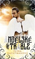Andělské trable - Elektronická kniha