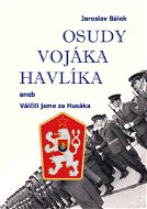 Osudy vojáka Havlíka - Elektronická kniha