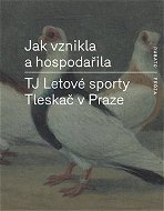 Jak vznikla a hospodařila TJ Letové sporty Tleskač v Praze - Elektronická kniha