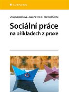 Sociální práce na příkladech z praxe - Elektronická kniha