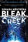 Záhada městečka Bleak Creek - Elektronická kniha
