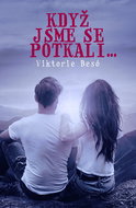When we met - Ebook