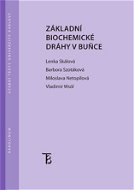 Základní biochemické dráhy v buňce - Elektronická kniha
