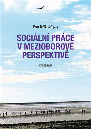 Sociální práce v mezioborové perspektivě - Elektronická kniha - Hlavní obrázek