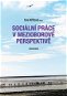Sociální práce v mezioborové perspektivě - Elektronická kniha