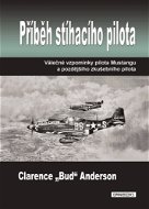 Příběh stíhacího pilota - Elektronická kniha