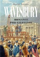 Wavesbury - Elektronická kniha