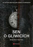 Sen o Gliwicích - Elektronická kniha