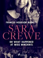 Sara Crewe or What Happened at Miss Minchin's - Elektronická kniha