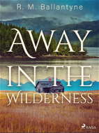 Away in the Wilderness - Elektronická kniha